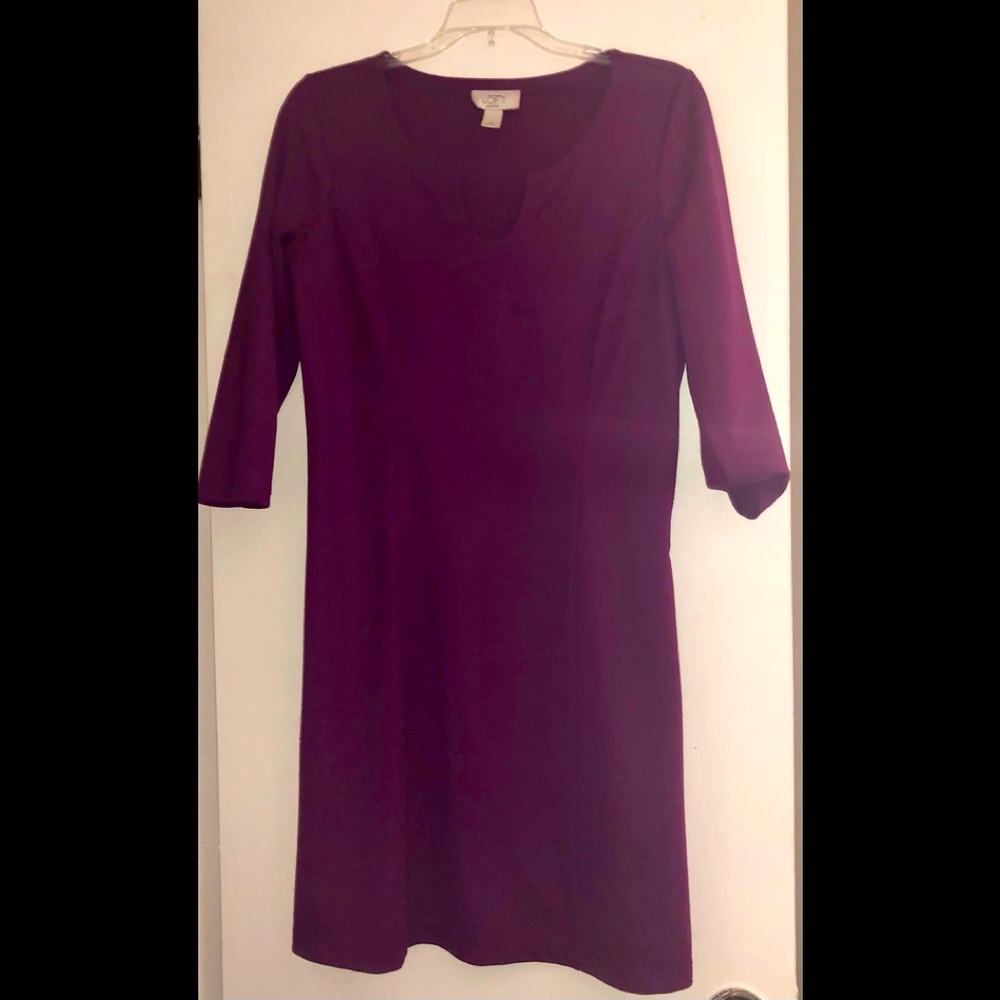 Purple Ann Taylor LOFT petite